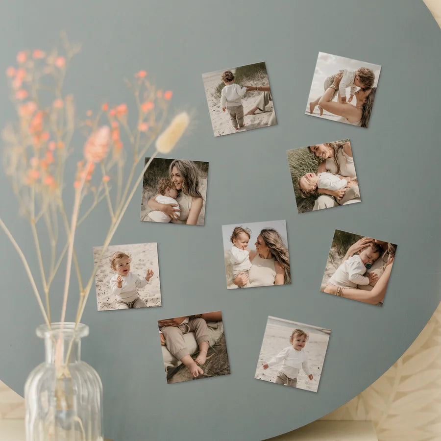 Fridge Magnet Bundle